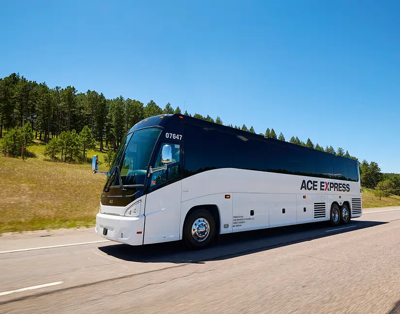 Modern white and black Ace Express Coaches motorcoach traveling on a highway with green trees in the background.
